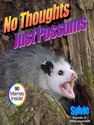 cover image of No Thoughts Just Possums